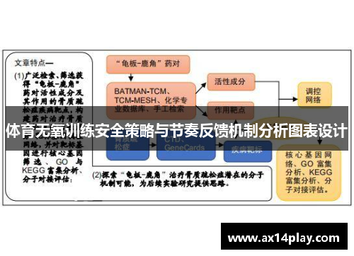 体育无氧训练安全策略与节奏反馈机制分析图表设计